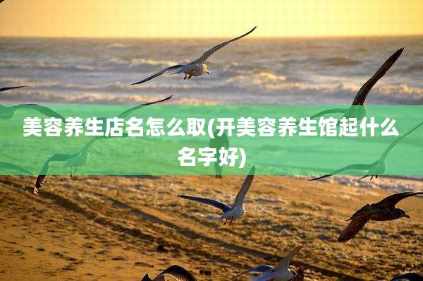 美容养生店名怎么取(开美容养生馆起什么名字好)