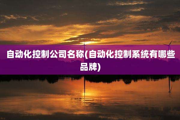 自动化控制公司名称(自动化控制系统有哪些品牌)