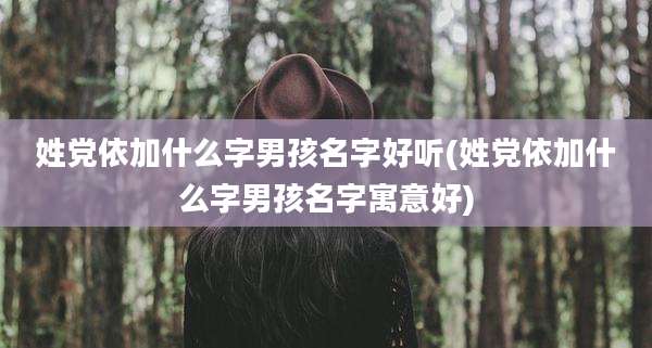 姓党依加什么字男孩名字好听(姓党依加什么字男孩名字寓意好)