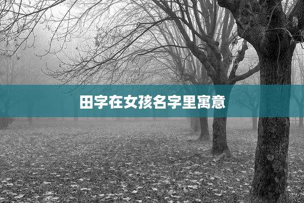 田字在女孩名字里寓意