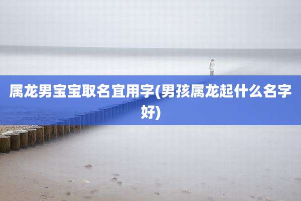 属龙男宝宝取名宜用字(男孩属龙起什么名字好)