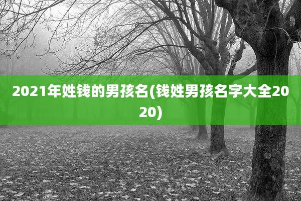 2021年姓钱的男孩名(钱姓男孩名字大全2020)