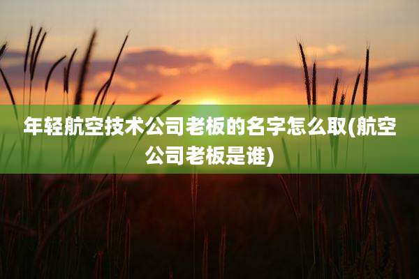 年轻航空技术公司老板的名字怎么取(航空公司老板是谁)