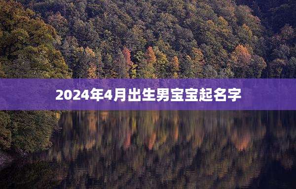 2024年4月出生男宝宝起名字