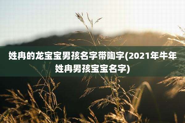 姓冉的龙宝宝男孩名字带陶字(2021年牛年姓冉男孩宝宝名字)