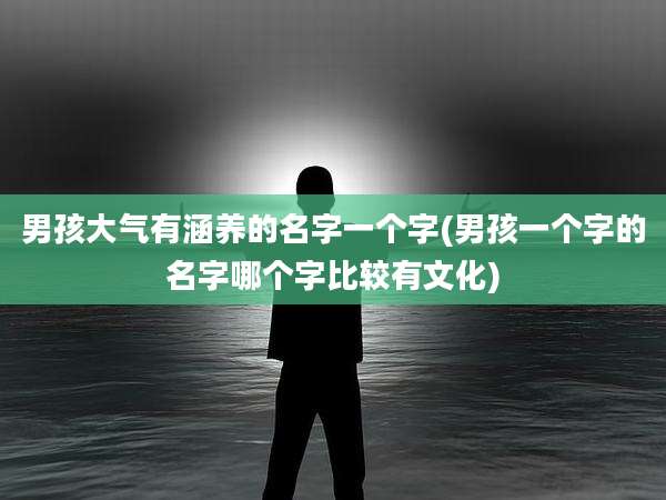 男孩大气有涵养的名字一个字(男孩一个字的名字哪个字比较有文化)