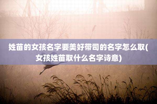 姓苗的女孩名字要美好带司的名字怎么取(女孩姓苗取什么名字诗意)