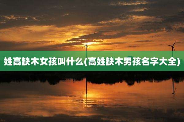 姓高缺木女孩叫什么(高姓缺木男孩名字大全)