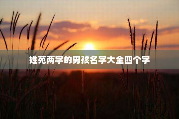 姓苑两字的男孩名字大全四个字