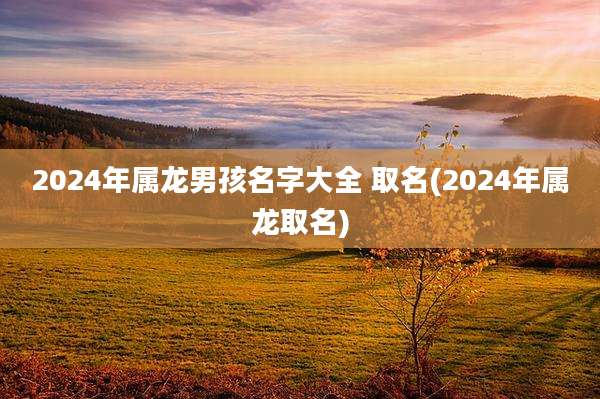 2024年属龙男孩名字大全 取名(2024年属龙取名)