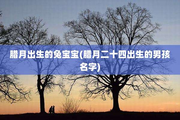 腊月出生的兔宝宝(腊月二十四出生的男孩名字)