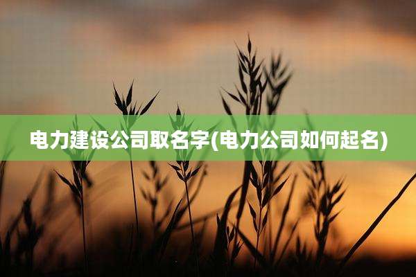 电力建设公司取名字(电力公司如何起名)