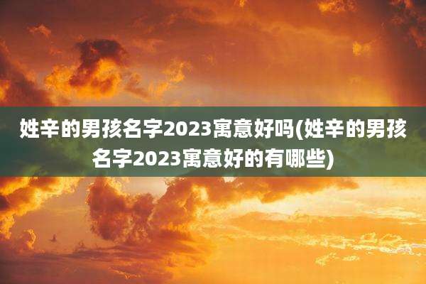 姓辛的男孩名字2023寓意好吗(姓辛的男孩名字2023寓意好的有哪些)