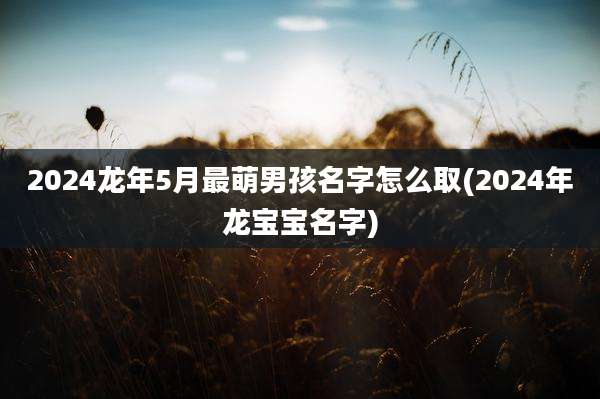 2024龙年5月最萌男孩名字怎么取(2024年龙宝宝名字)