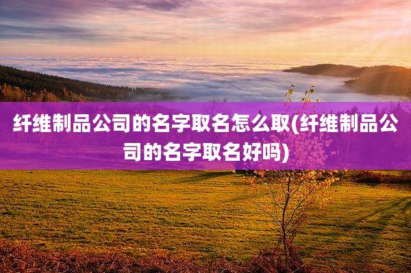 纤维制品公司的名字取名怎么取(纤维制品公司的名字取名好吗)