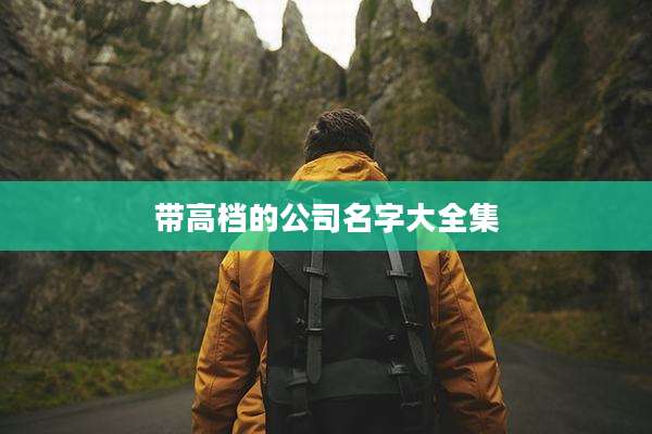 带高档的公司名字大全集