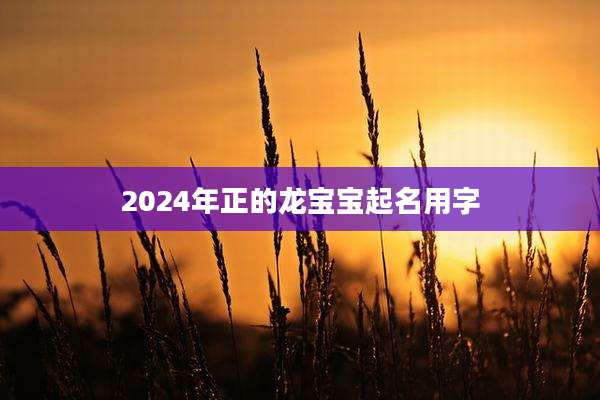 2024年正的龙宝宝起名用字