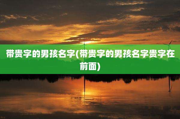 带贵字的男孩名字(带贵字的男孩名字贵字在前面)