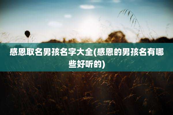 感恩取名男孩名字大全(感恩的男孩名有哪些好听的)