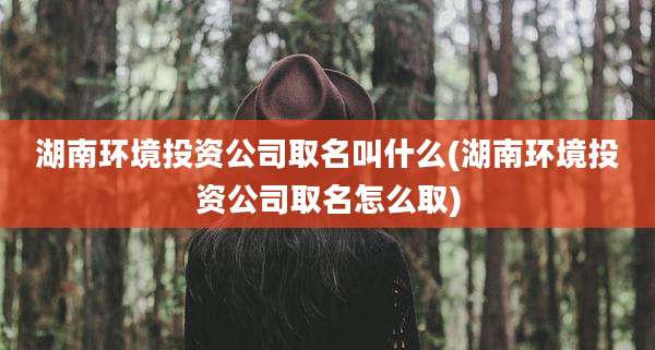 湖南环境投资公司取名叫什么(湖南环境投资公司取名怎么取)
