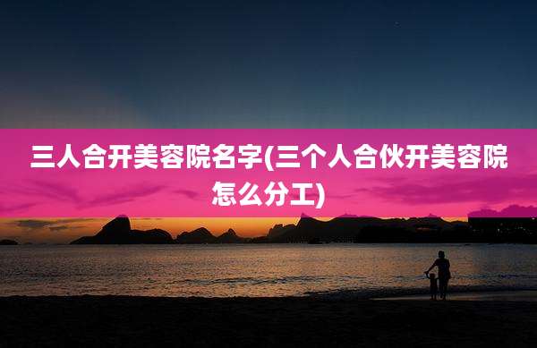 三人合开美容院名字(三个人合伙开美容院怎么分工)
