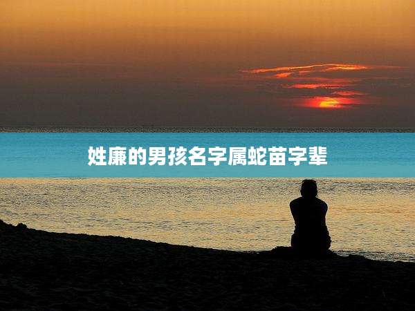 姓廉的男孩名字属蛇苗字辈