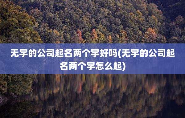 无字的公司起名两个字好吗(无字的公司起名两个字怎么起)