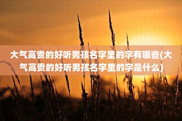 大气高贵的好听男孩名字里的字有哪些(大气高贵的好听男孩名字里的字是什么)