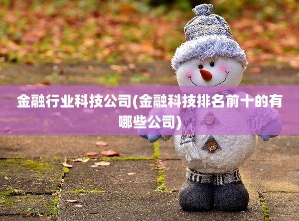 金融行业科技公司(金融科技排名前十的有哪些公司)