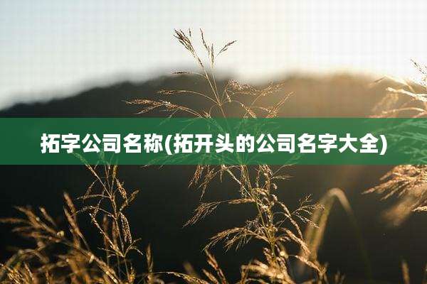 拓字公司名称(拓开头的公司名字大全)