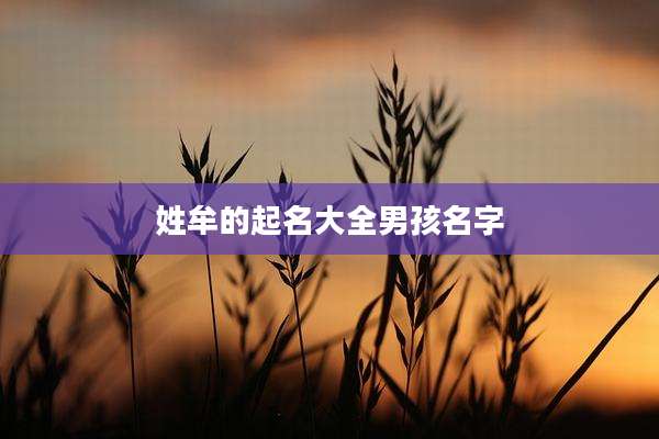 姓牟的起名大全男孩名字