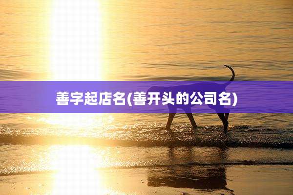 善字起店名(善开头的公司名)