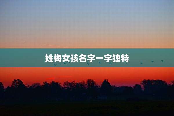 姓梅女孩名字一字独特