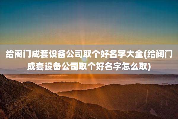 给阀门成套设备公司取个好名字大全(给阀门成套设备公司取个好名字怎么取)