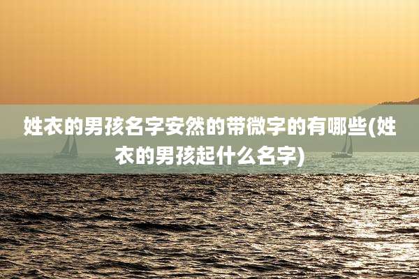 姓衣的男孩名字安然的带微字的有哪些(姓衣的男孩起什么名字)