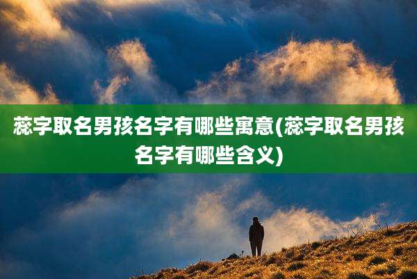 蕊字取名男孩名字有哪些寓意(蕊字取名男孩名字有哪些含义)