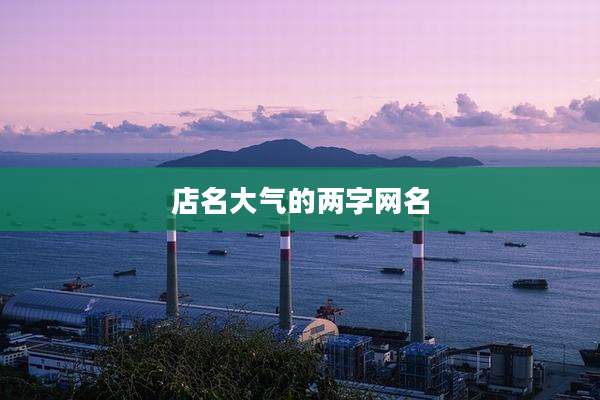 店名大气的两字网名