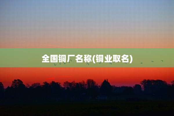 全国铜厂名称(铜业取名)