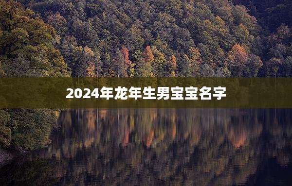 2024年龙年生男宝宝名字