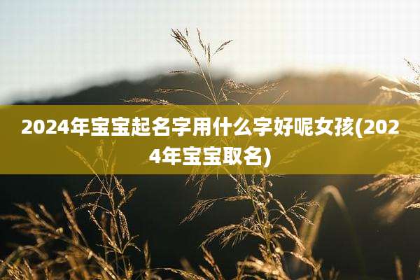 2024年宝宝起名字用什么字好呢女孩(2024年宝宝取名)