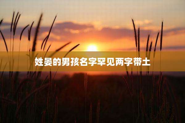 姓晏的男孩名字罕见两字带土
