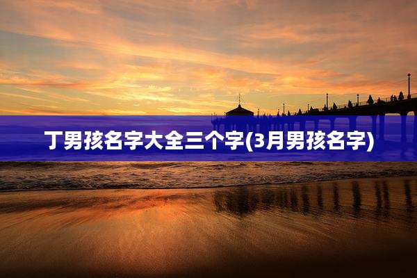丁男孩名字大全三个字(3月男孩名字)