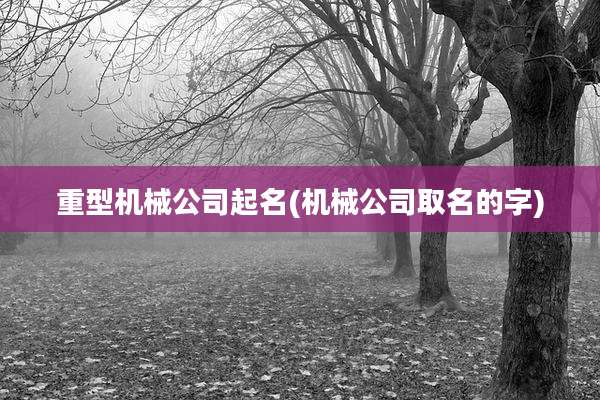 重型机械公司起名(机械公司取名的字)