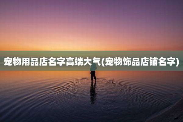宠物用品店名字高端大气(宠物饰品店铺名字)