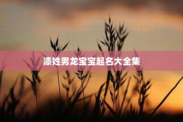 漆姓男龙宝宝起名大全集