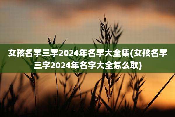 女孩名字三字2024年名字大全集(女孩名字三字2024年名字大全怎么取)
