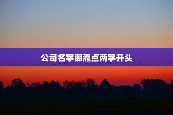 公司名字潮流点两字开头