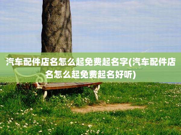 汽车配件店名怎么起免费起名字(汽车配件店名怎么起免费起名好听)