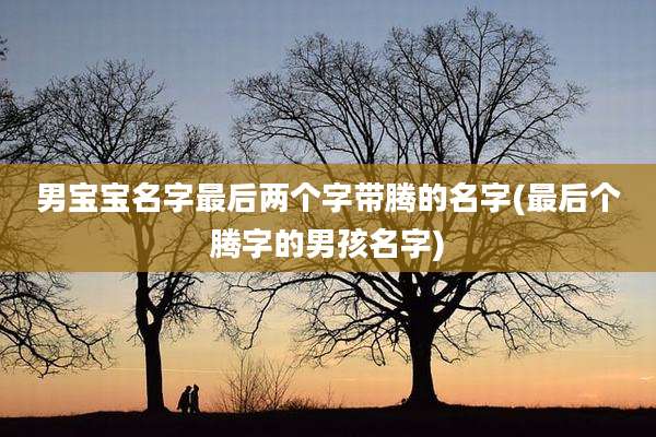 男宝宝名字最后两个字带腾的名字(最后个腾字的男孩名字)
