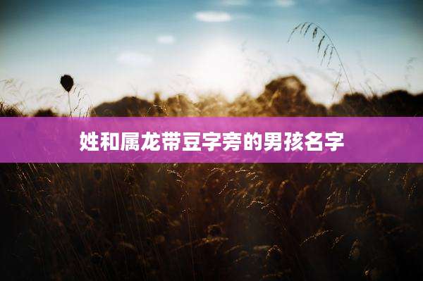 姓和属龙带豆字旁的男孩名字